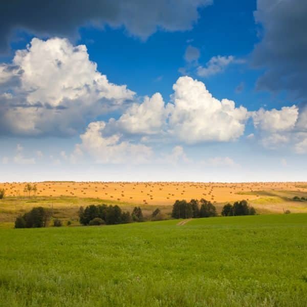 Paysage ete en normandie