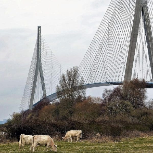 Pont de normandie avec pre